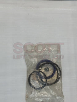 101332 [CROWN] SEAL KIT - HYDRAULIC CYLINDER